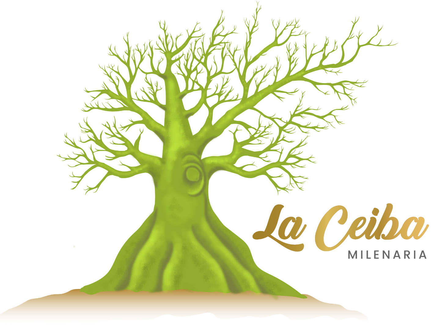 La Ceiba Milenaria Foundation